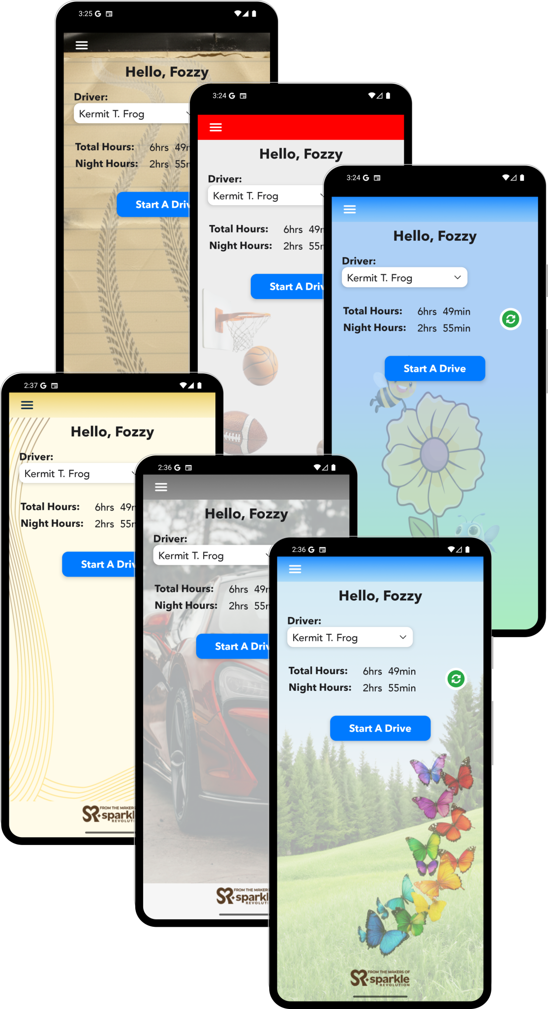 Permit2Drive appearance and skin examples